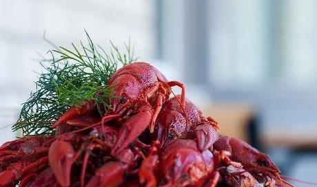 做龙虾视频,视频教你轻松烹饪美味龙虾