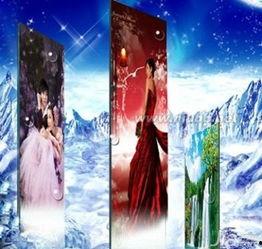 冰晶画视频,揭秘视频中的奇幻冰画艺术之旅