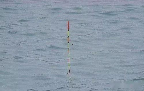 浮漂找底视频