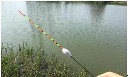 浮漂找底视频