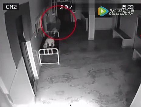 濒死体验视频,一段震撼心灵的生死之旅