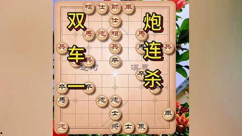 象棋规则视频,掌握棋艺,决胜棋盘
