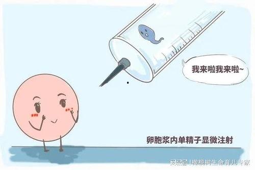正常子宫视频,透过视频探索女性生殖奇迹